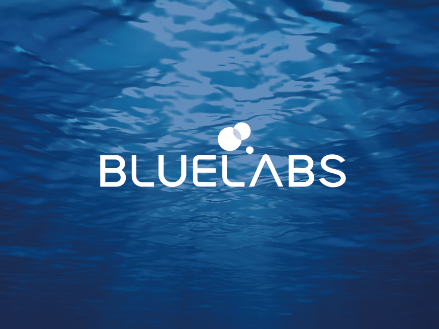 BLUELABS attracts 300 million won in seed investment... kills two birds with one stone by adsorbing heavy metals using discarded oyster shells